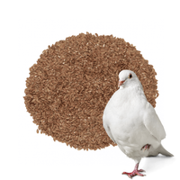 Siemię Lniane Brązowe Karma Dla Ptaków Kanarków Naturalna W Pierzeniu 1 kg