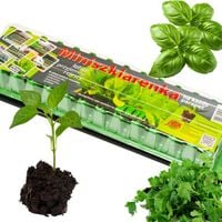 DUŻA MINI SZKLARNIA SZKLARENKA INSPEKT ZIELNIK 56 KOMÓREK + ZIEMIA