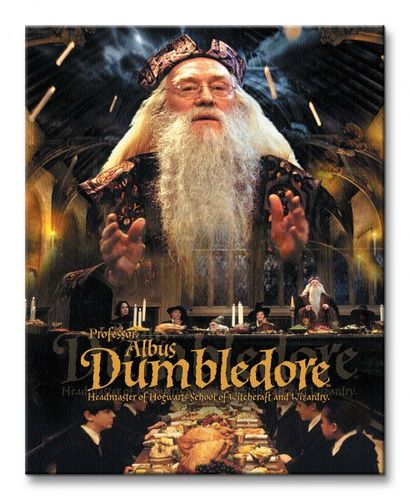 Harry Potter Dumbledore - Obraz na płótnie 40x50 cm na Arena.pl