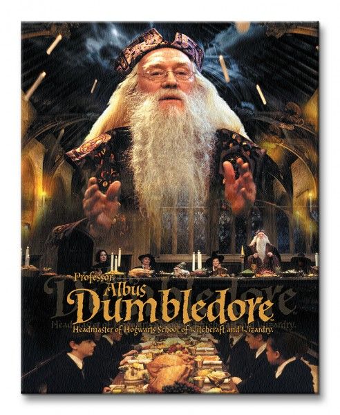 Harry Potter Dumbledore - Obraz na płótnie 40x50 cm zdjęcie 2