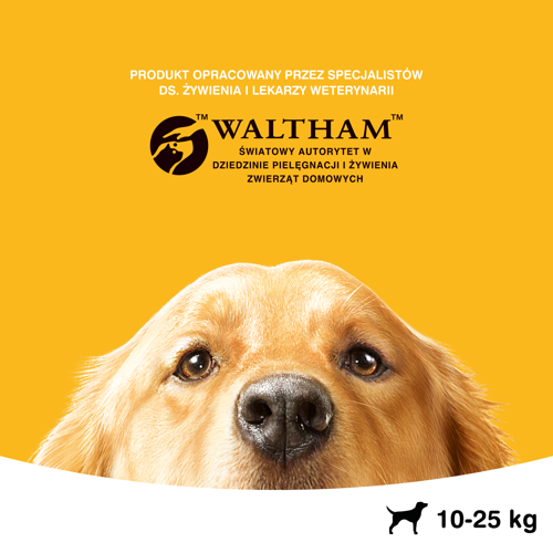 Pedigree Jumbone Medium 200g na Arena.pl