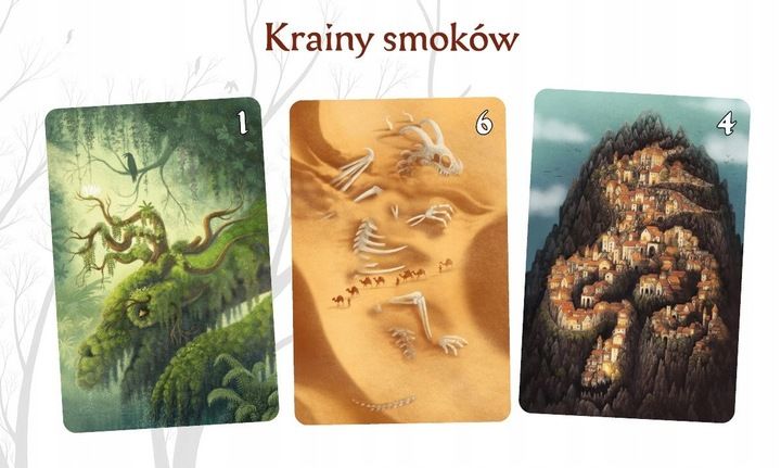 Gra karciana NASZA KSIĘGARNIA Smoki zdjęcie 8