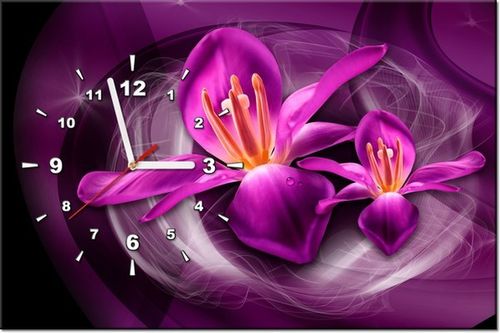 60CM 40CM ZEGAR OBRAZ RÓŻOWE KOSMICZNE KWIATY JAKUB BANAŚ DRUK PŁÓTNO RAMA na Arena.pl