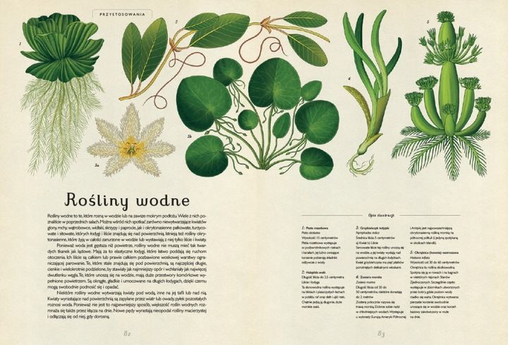 Botanicum zdjęcie 4