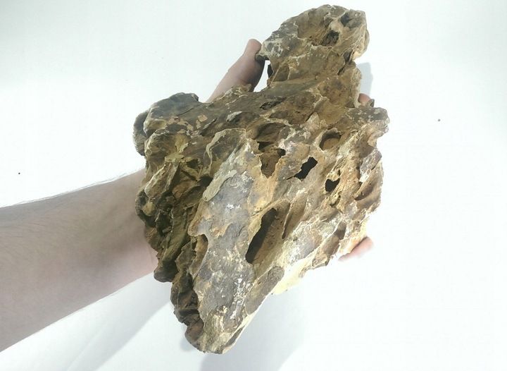 Dragon stone M (1-2 kg) zdjęcie 3