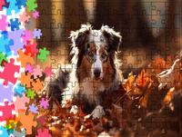 Puzzle tradycyjne Zwierzęta - Pies