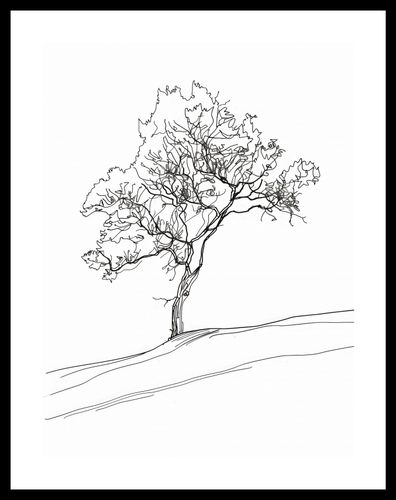 Plakat 30x40cm Drzewo w Zarysie na Arena.pl