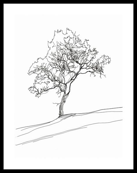 Plakat 30x40cm Drzewo w Zarysie zdjęcie 3