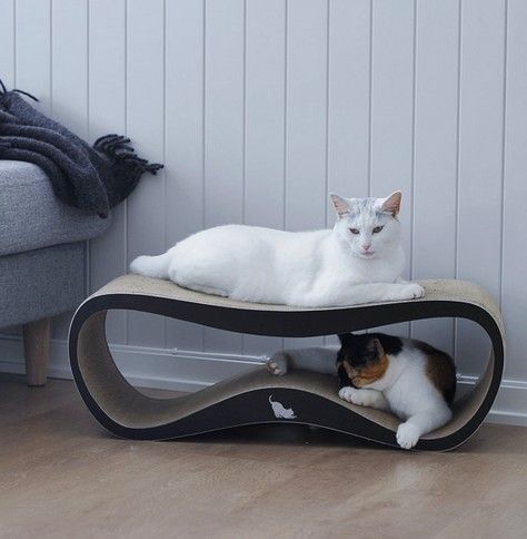 MyKotty Drapak Lui czarny na Arena.pl