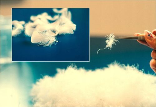 Kołdra puchowa 140x200 2,5kg PUCH I PIERZE RÓŻOWA lub KREMOWA na Arena.pl