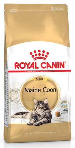 Zdrowa karma sucha dla kotów dorosłych rasy maine coon - Royal Canin 2kg na Arena.pl