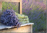 100 70CM OBRAZ PŁÓTNO BUKIET LAWENDY PŁÓTNO RAMA