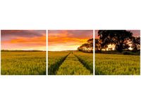 70 90CM OBRAZ 3 ELEM FAR FAR AWAY JONATHAN COMBE ŚCIENNY DRUK PŁÓTNO