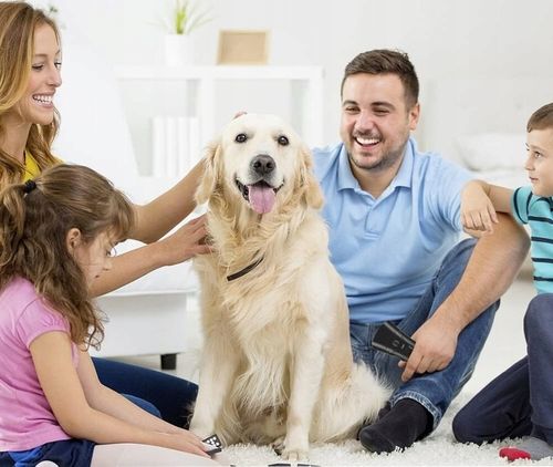 Ultradźwiękowy Odstraszacz Psów Treser Elektryczny z Latarką LED na Arena.pl