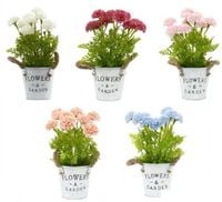 kwiatki w doniczce flowers & garden 12x27cm