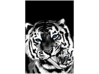 80CM 120 OBRAZ TYGRYSY ŚCIENNY