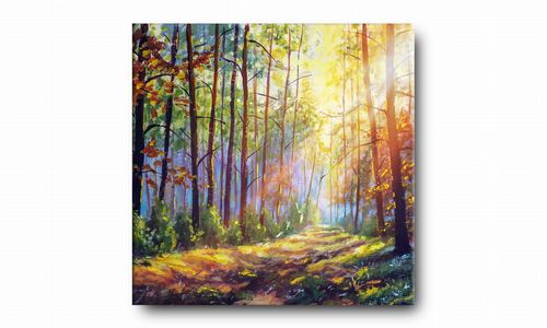 OBRAZ NA PŁÓTNIE 086 Promienie słońca 50x50cm na Arena.pl
