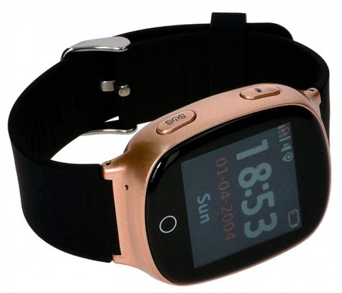 Garett Electronics GPS3 ZŁOTY na Arena.pl