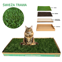 Kuweta dla kota z naturalnej trawy 100×50 cm toaleta ekologiczna