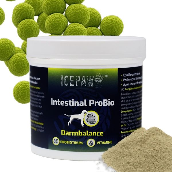 ICEPAW Intestinal ProBio - probiotyk dla psa (90g) zdjęcie 1