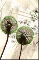 80CM 120 OBRAZ DMUCHAWCE ZIELENI ŚCIENNY