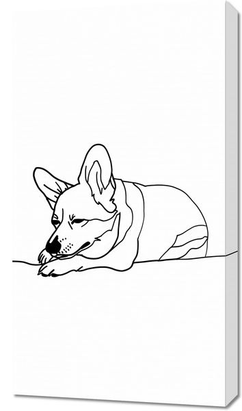 Obraz 50x90cm Śpiący Corgacz zdjęcie 1