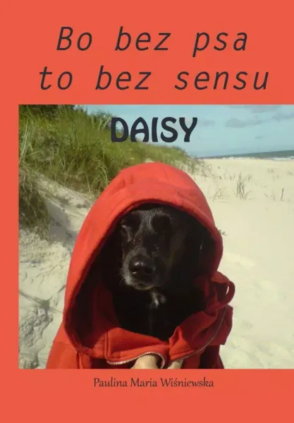 Daisy Bo bez psa to bez sensu zdjęcie 1