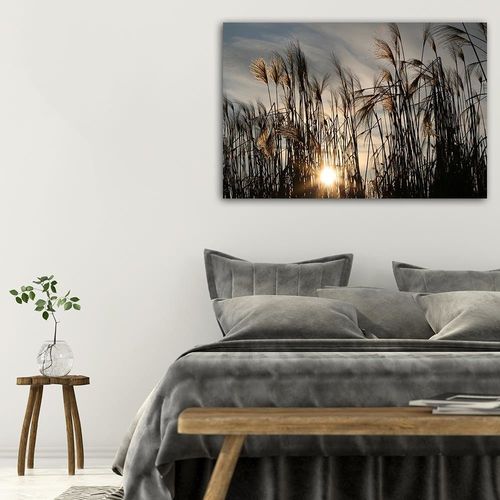 Deco Panel, Słońce wśród traw 60x40 na Arena.pl
