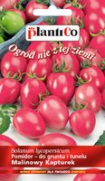 NASIONA Pomidor Malinowy Kapturek Do 600szt z Krzaka 0,2g PLANTICO 405288