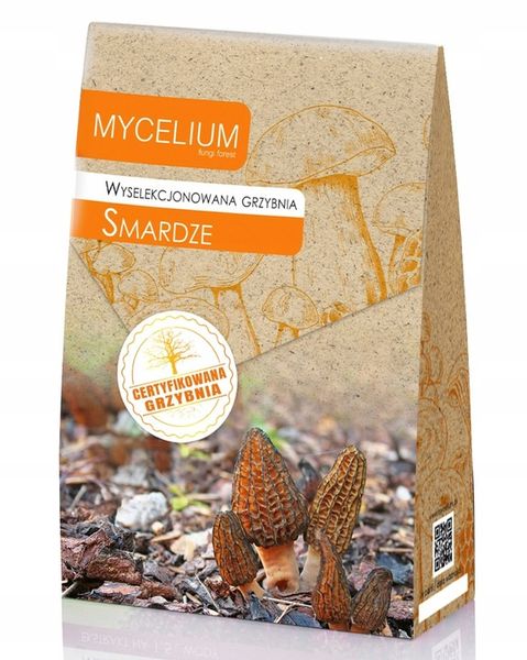 SMARDZE certyfikowana grzybnia zdjęcie 1