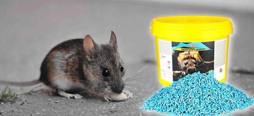 TRUTKA NA SZCZURY I MYSZY STRONG 5KG GRANULAT na Arena.pl