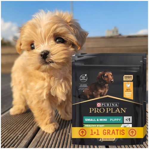 purina pro plan small & mini puppy sucha karma dla psa kurczak 700+700 g na Arena.pl