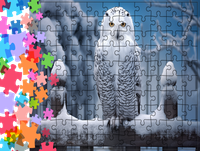 Puzzle tradycyjne Zwierzęta - Sowa