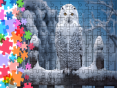 Puzzle tradycyjne Zwierzęta - Sowa
