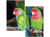 60X60CM CZERWONY ZIELONY TAMBAKO THE JAGUAR DWU OBRAZ ŚCIAN