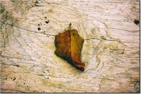 product-compare-58693715