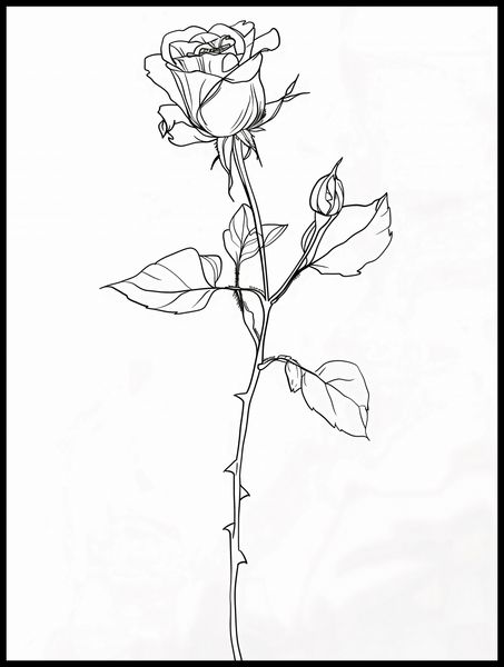 Plakat 75x100cm Kontur Róży zdjęcie 2