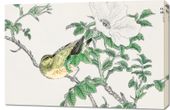 Obraz 90x60cm Bulbul and Rosa, Kashu Japoński Vintage do Salonu