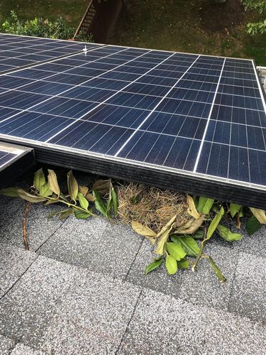 NIEKOMPLETNY Osłona paneli słonecznych MY SQUIRREL GUARD 8" rolka 30m na Arena.pl