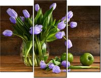 product-compare-58672726