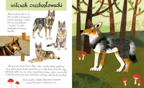 Mały Atlas Psów (I Szczeniaków) Ewy I Pawła Pawlaków na Arena.pl