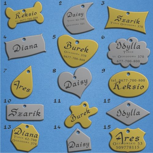 IDENTYFIKATOR adresówka ZAWIESZKA dla psa kota na Arena.pl