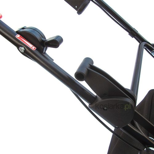 Pubert Cesar 45P na Arena.pl