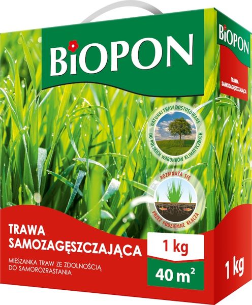TRAWA SAMOZAGĘSZCZAJĄCA 1 KG - BR BIO-1843 zdjęcie 1