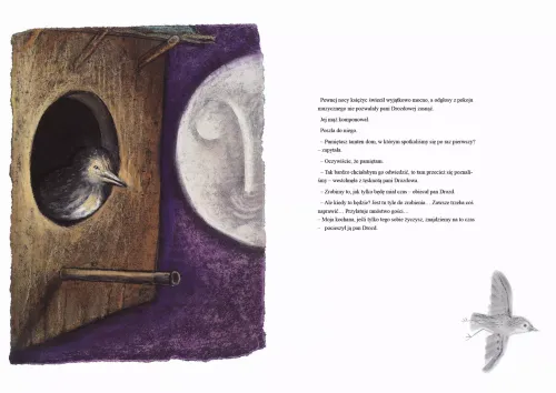 Pani Drozdowa na Arena.pl