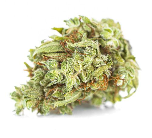 Susz konopny CBD | CBG | Silver 1 g na Arena.pl