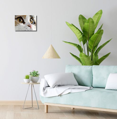 Obraz 30x20cm Nitkowany Kot na Arena.pl