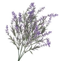 product-compare-58172453