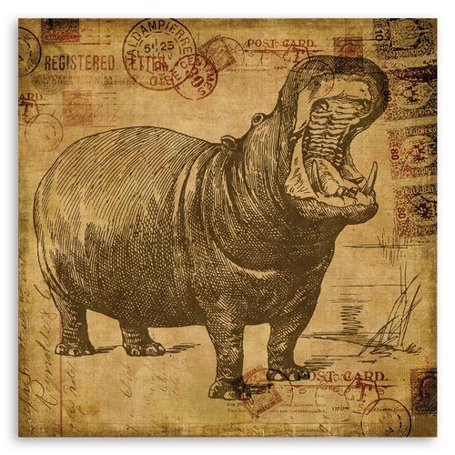 Deco Panel, Afrykański hipopotam 80x80 na Arena.pl