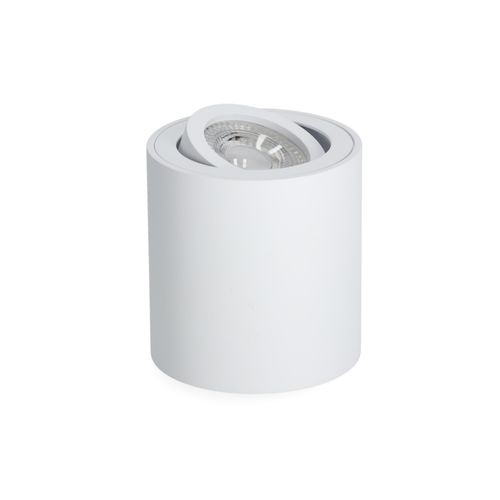 Ruchoma oprawa sufitowa SPARK biała na Arena.pl